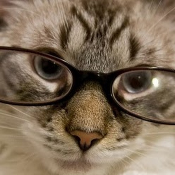 Meet your Posher, Michele - Picture 1 of 1